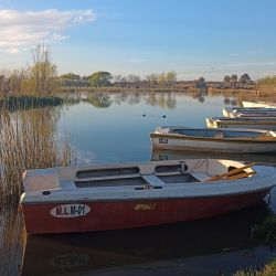 El buen clima contribuyó para que el pasado fin de semana fuera uno de los más rendidores para el pescador en el país. 