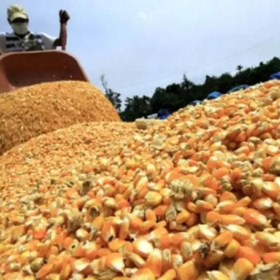 Comercio Precio Soja Bolsa De Rosario Rentabilidad Negativa: Los