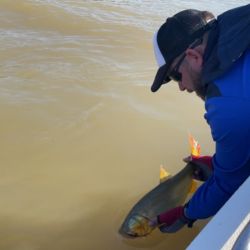 Por la temperatura muy baja del agua los dorados se mostraron aletargados y costó el pique, aunque buenas capturas se dieron.