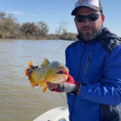 Por la temperatura muy baja del agua los dorados se mostraron aletargados y costó el pique, aunque buenas capturas se dieron.