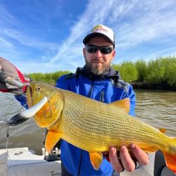Por la temperatura muy baja del agua los dorados se mostraron aletargados y costó el pique, aunque buenas capturas se dieron.