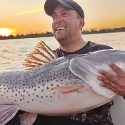 Tras las fotos y videos, el surubí volvió al agua como corresponde.