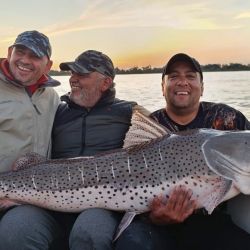Tras las fotos y videos, el surubí volvió al agua como corresponde.