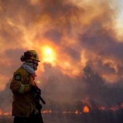 El Plan de Acción Delta 2024 surge como respuesta al creciente riesgo de incendios forestales que se producen anualmente en el delta del Río Paran