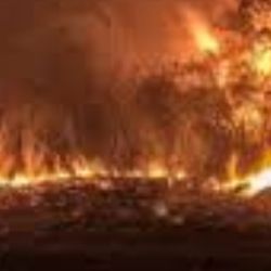 Contempla una serie de medidas orientadas a la prevención y la respuesta rápida ante los incendios