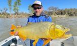 Lingotes dorados en la costa uruguaya