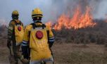 ¿Cómo es el plan para prevenir y combatir los incendios forestales en el Delta?