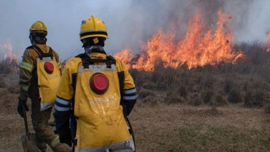 ¿Cómo es el plan para prevenir y combatir los incendios forestales en el Delta?1