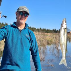 Dio mucho mejor resultado usar anzuelos pequeños, número 3 a 5, encarnados con mojarras pequeñas, que anzuelos grandes tipo 1 o 1/0 encarnados con mojarras grandes. 
