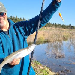 Dio mucho mejor resultado usar anzuelos pequeños, número 3 a 5, encarnados con mojarras pequeñas, que anzuelos grandes tipo 1 o 1/0 encarnados con mojarras grandes. 
