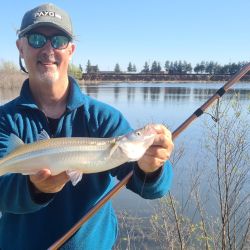 Dio mucho mejor resultado usar anzuelos pequeños, número 3 a 5, encarnados con mojarras pequeñas, que anzuelos grandes tipo 1 o 1/0 encarnados con mojarras grandes. 