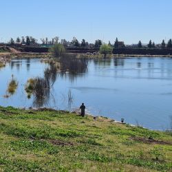 Dio mucho mejor resultado usar anzuelos pequeños, número 3 a 5, encarnados con mojarras pequeñas, que anzuelos grandes tipo 1 o 1/0 encarnados con mojarras grandes. 