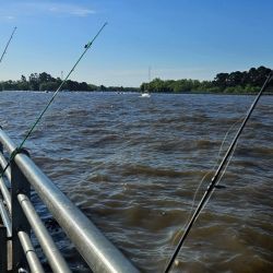 La pesca a pie seco, es decir, sin ingresar al agua, lo que nos obliga a buenos lances en algunos casos, dependiendo la especie que vamos a buscar. 