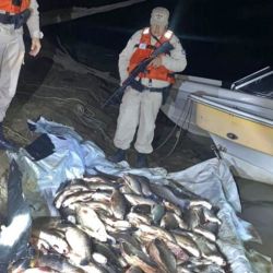En el campamento se encontró dos redes de 150 metros y una tercera de 50 metros de largo, así como también varias especies de pescados extraídos ilegalmente del río.