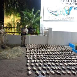 En el campamento se encontró dos redes de 150 metros y una tercera de 50 metros de largo, así como también varias especies de pescados extraídos ilegalmente del río.