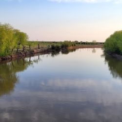 En estos pesqueros se espera un mejoramiento sustancial del pique a medida que aumenta la temperatura. 
