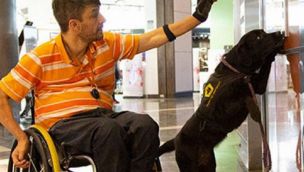 1209_perros