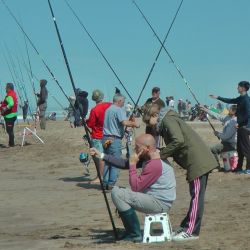 Con la veda en las lagunas y un litoral que pasa un buen momento, la playa es lo que más creció en los rindes y entrega rindes ascendentes. 