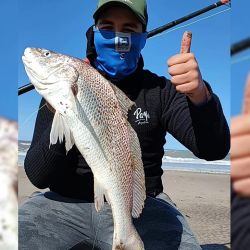 Con la veda en las lagunas y un litoral que pasa un buen momento, la playa es lo que más creció en los rindes y entrega rindes ascendentes. 