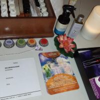Marisa Volker: Cómo Elevar Tu Energía y Transformar Tu Vida con Sanación Holística