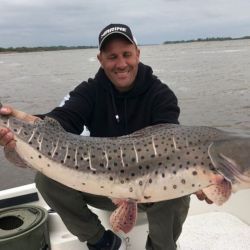 La temporada de pesca en los ríos del norte es muy buena a pesar de que los caudales no son los ideales. 