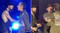 Perry Farrell golpeó al guitarrista Dave Navarro