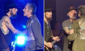 Perry Farrell golpeó al guitarrista Dave Navarro