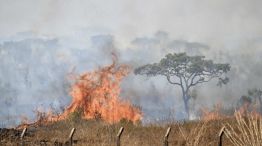 BRASIL MEDIO AMBIENTE INCENDIO 20240916