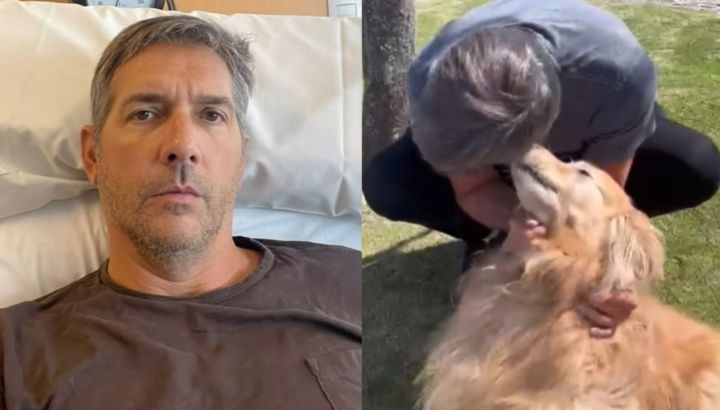 Franco Mercuriali fue dado de alta tras ser internado por una bacteria: el video del emotivo reencuentro con sus perros