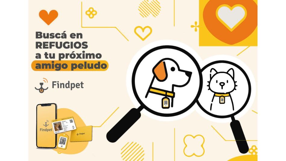 Findpet: Nuestros huéspedes especiales merecen una familia 