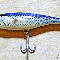 Taruchas y bogas, dos de las especies más buscadas por el pescador deportivo. 