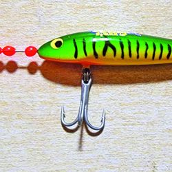 Taruchas y bogas, dos de las especies más buscadas por el pescador deportivo. 