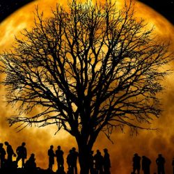 Es la Luna Llena más grande del año.