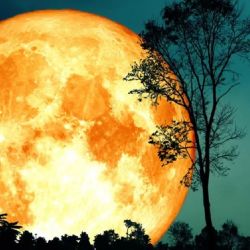 Esta superluna será la segunda de una seguidilla de cuatro.