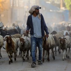 Un palestino es visto en la ciudad de Deir al-Balah, en el centro de la Franja de Gaza, llevando sus ovejas. | Foto:Xinhua/Marwan Dawood