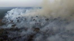 Incendios en el Amazonas