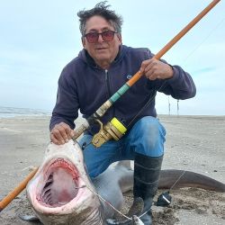 Todos los grandes tiburones costeros como el escalandrún, bacota, gatopardo, cazón y el martillo, están considerados dentro del grupo de peces de “pesca dirigida con reserva”, por lo que la reglamentación vigente en la provincia de Buenos Aires exige su inmediata devolución al mar, sin excepción.