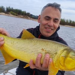 Hay muchos dorados chicos, pero también se dan medianos y grandes en cantidad, siendo las modalidades más rendidoras haciendo bait o spinning al golpe.  Además, ya pican tarariras. 