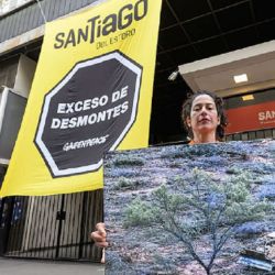 Greenpeace exige que se frenen los desmontes en Santiago del Estero.