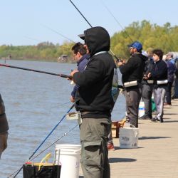 Sin ser una pesca abundante, fue buena la respuesta de las sardinas, atracción de estos tiempos en la zona.