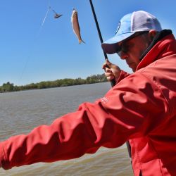 Sin ser una pesca abundante, fue buena la respuesta de las sardinas, atracción de estos tiempos en la zona.