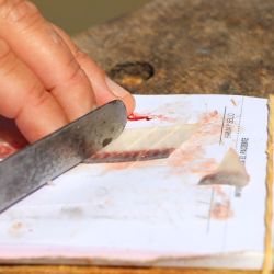 Sin ser una pesca abundante, fue buena la respuesta de las sardinas, atracción de estos tiempos en la zona.