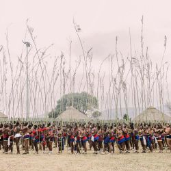 Las doncellas zulúes se reúnen danza de los juncos en el Palacio Real de Enyokeni en Nongoma. Cada septiembre, miles de mujeres, conocidas localmente como doncellas, descienden al palacio real en la provincia de Kwazulu-Natal, en el sureste del país, para presentar un junco alto al rey zulú Misuzulu ka Zwelithini, como un rito tradicional de feminidad. | Foto:RAJESH JANTILAL / AFP