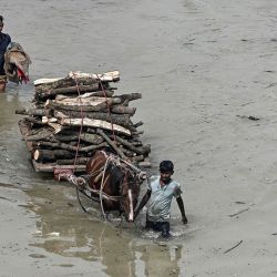 Los residentes afectados por las inundaciones se desplazan junto a un carro tirado por caballos cargado de madera por las orillas del río Ganges tras las fuertes lluvias monzónicas en Prayagraj, India. | Foto:SANJAY KANOJIA / AFP