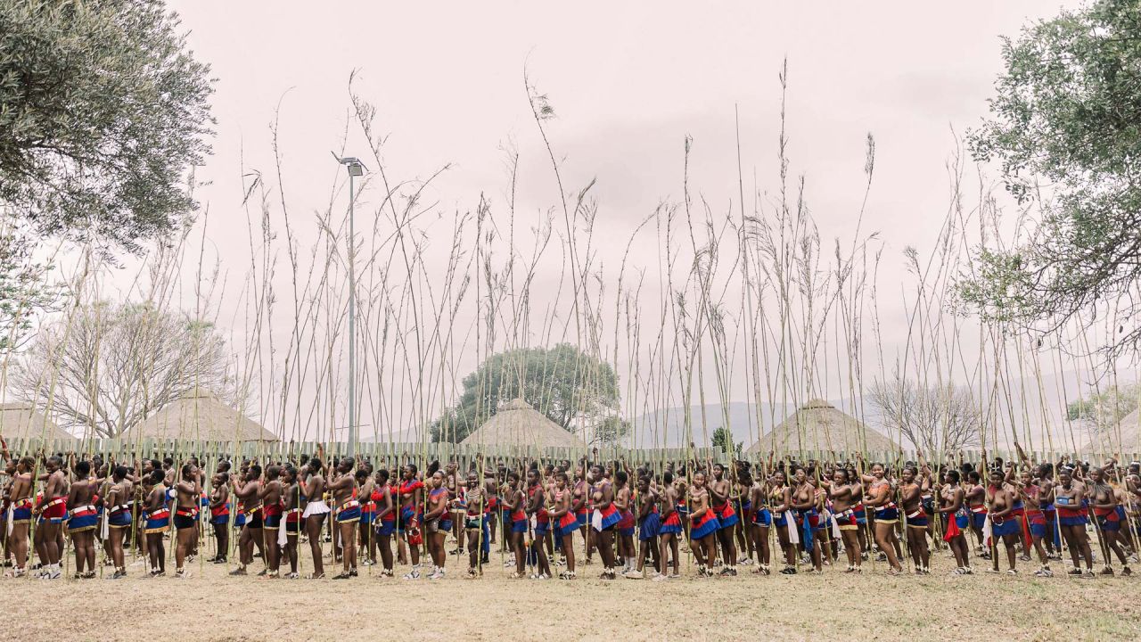 Las doncellas zulúes se reúnen danza de los juncos en el Palacio Real de Enyokeni en Nongoma. Cada septiembre, miles de mujeres, conocidas localmente como doncellas, descienden al palacio real en la provincia de Kwazulu-Natal, en el sureste del país, para presentar un junco alto al rey zulú Misuzulu ka Zwelithini, como un rito tradicional de feminidad. | Foto:RAJESH JANTILAL / AFP