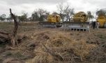 Denuncian que Santiago del Estero es la provincia con más bosques deforestados