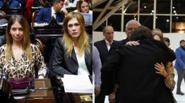 Mensajes de diputadas de La Libertad Avanza