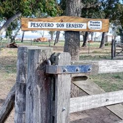 La despedida del invierno llega en un buen momento de la costa bonaerense, con una variada que va en ascenso. 