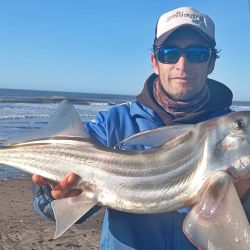 La despedida del invierno llega en un buen momento de la costa bonaerense, con una variada que va en ascenso. 