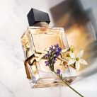 Descubrí el Significado de las Flores con Lymage Perfumería 